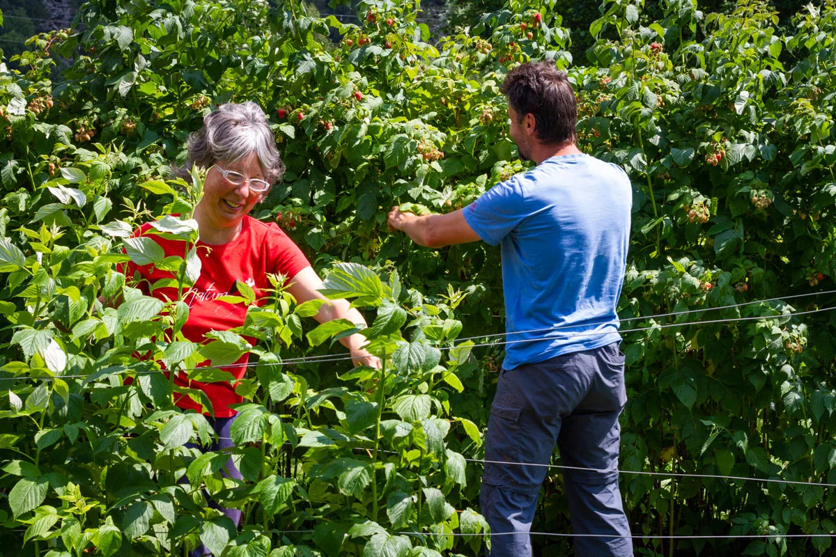 © Azienda Agricola Naturalys 